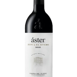 Aster Finca El Otero